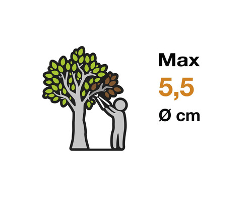 Symbolbild maximale Schnittstärke 5,5 Zentimeter