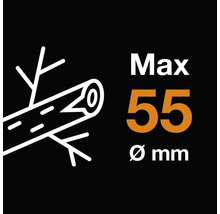 Maximale Holzdicke 55 Millimeter