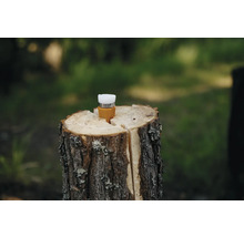 Anzündhilfe auf Holzscheit