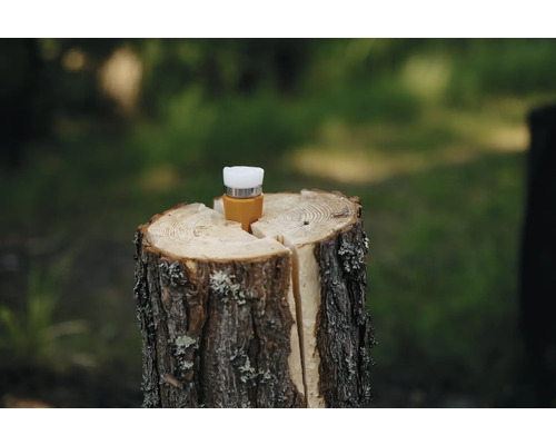 Anzündhilfe auf Holzscheit