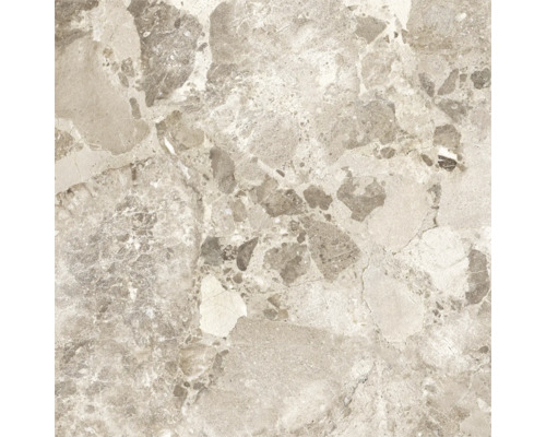 Feinsteinzeug Wand- und Bodenfliese MADRID Sand rektifiziert 59.5 x 59.5 x 0.095 cm Fliesenmuster mit Marmoroptik