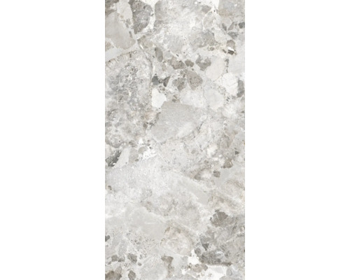 Feinsteinzeug Wand- und Bodenfliese MADRID light grey rektifiziert 59.5 x 120 x 1 cm Dekorfliese mit Marmoroptik