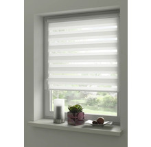 Fenster mit Doppelrollo für Sicht- und Sonnenschutz