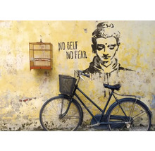 Fahrrad mit Korb vor einer Wand mit Graffiti und Vogelkäfig