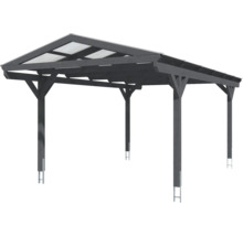 Carport aus Holz mit transparentem Dach