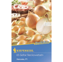 Kiepenkerl Logo, 65 gelbe Steckzwiebeln, Hercules F1