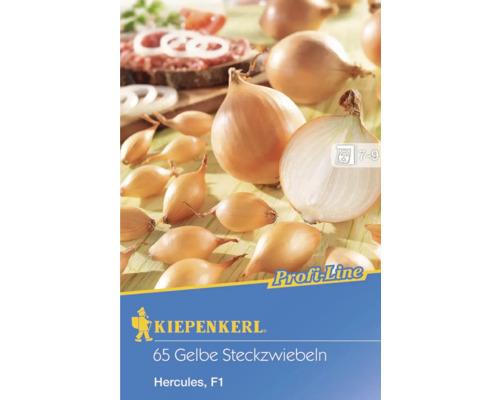 Gelbe Steckzwiebeln Kiepenkerl 'Herkules' 65 Stk.