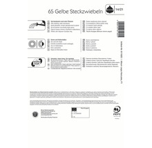 Gelbe Steckzwiebeln 14/21 Packungsinformationen