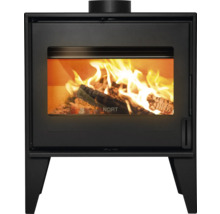 Kaminofen mit brennendem Holz