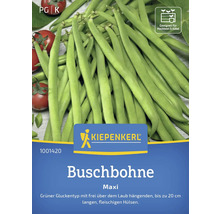 Kiepenkerl Logo. Buschbohne ''Maxi'', geeignet für Hochbeet und Kübel.