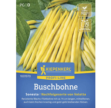 Buschbohnen Sonesta Kiepenkerl Samenfestes Saatgut Gemüsesamen