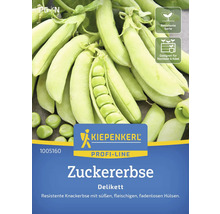 Zuckererbse Delikett Samenpackung von Kiepenkerl