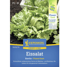 Eissalat der Marke Kiepenkerl Profi-Line, Sorte Danilo PowerSaat