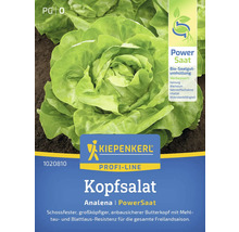 Kopfsalat Analena Kiepenkerl Gemüsesamen, PowerSaat, Samenfestes Saatgut