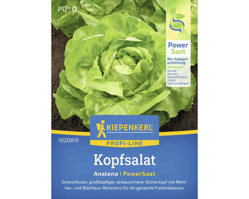 Kopfsalat Analena Kiepenkerl Gemüsesamen, PowerSaat, Samenfestes Saatgut