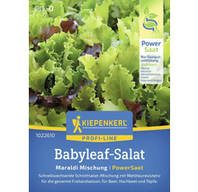 Babyleaf Salat Samenpackung der Marke Kiepenkerl
