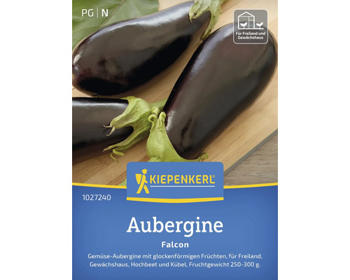 Aubergine Falcon Kiepenkerl Gemüsesamen