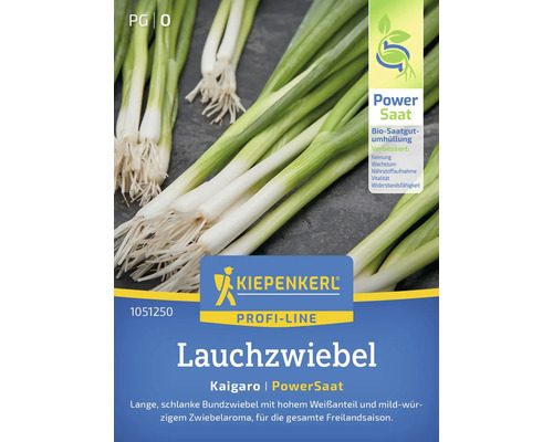 Lauch Zwiebel Kaigaro Kiepenkerl Gemüsesamen