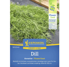 Dill Saatgutpackung von Kiepenkerl