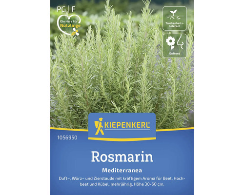 Rosmarin Mediterranea Kiepenkerl Kräutersamen