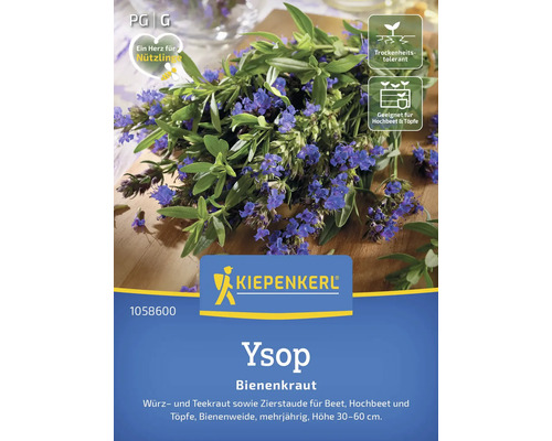 Ysop Bienenkraut Kiepenkerl Kräutersamen Samenfestes Saatgut Ysop Bienenkraut im Kiepenkerl Saatgut-Paket