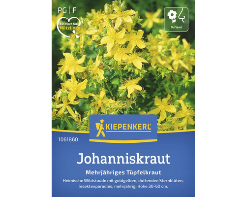 Johanniskraut Tüpfelkraut Kiepenkerl Blumensamen