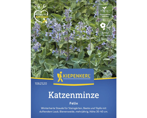 Katzenminze Felix Kiepenkerl Blumensamen