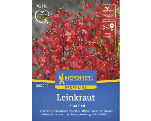 Lein Licilia Red Kiepenkerl Blumensamen