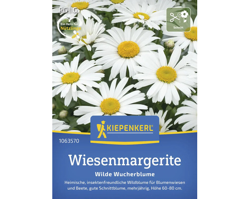 Margerite - Kiepenkerl Blumensamen