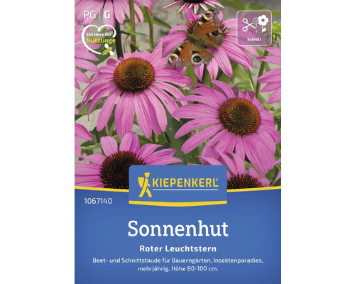 Sonnenhut Roter Leuchtstern Kiepenkerl Blumensamen