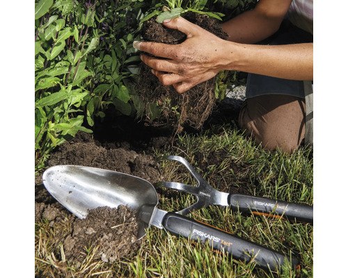 Gartenarbeitsszene mit Pflanzschaufel, Grubber und Person, die eine Pflanze einsetzt