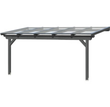 Carport mit durchsichtigem Dach