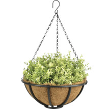 Hängeampel mit Kette und Bepflanzung