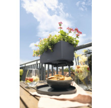Balkonkastenabstützung für Balconera 40/50 Lechuza Kunststoff schwarz
