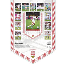 Wandkalender VfB Stuttgart Bannerkalender 2025 29,7x42 cm