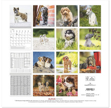 Wandkalender mit Hundeabbildungen für das Jahr 2025