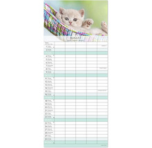 Wandkalender mit Monatsübersicht und Katzenmotiv