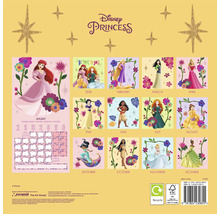 Disney Prinzessinnen Kalender mit Monatsübersicht und Abbildungen von verschiedenen Disney Prinzessinnen