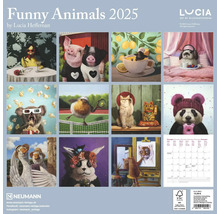 Wandkalender Funny Animals 2025 von Lucia Heffernan mit Tiermotiven