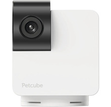 Petcube Heimtierkamera Nahansicht