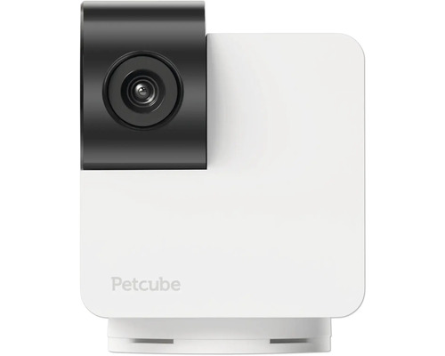 Petcube Heimtierkamera Nahansicht
