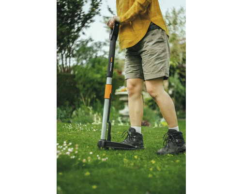 Garten mit Unkrautstecher im Einsatz.