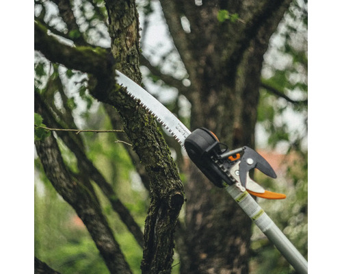 Astschneider beim Beschneiden eines Baumastes
