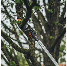 Astschneider schneidet einen Ast