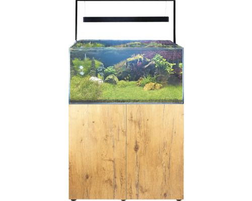Aquarium mit Unterschrank und Bepflanzung