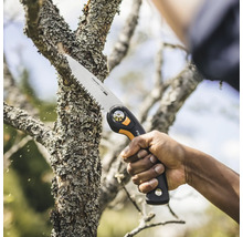 Astsäge im Einsatz zum Beschneiden eines Astes