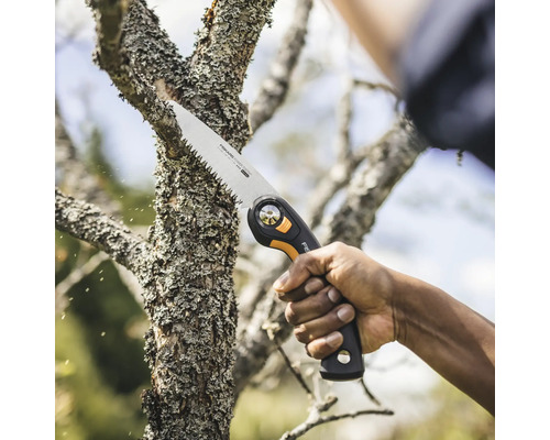 Astsäge im Einsatz zum Beschneiden eines Astes