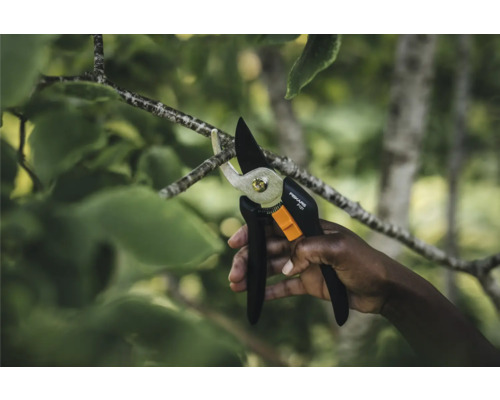 Eine Hand schneidet einen Ast mit einer Gartenschere von Fiskars.