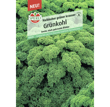 Grünkohl Halbhoher grüner krauser Sperli Samenfestes Saatgut Gemüsesamen