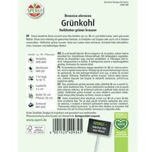 Grünkohl Halbhoher grüner krauser Sperli Samenfestes Saatgut Gemüsesamen